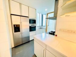 Cairnhill Crest (D9), Condominium #555068191